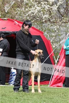 124188 _tl_02_IMG_9489.JPG