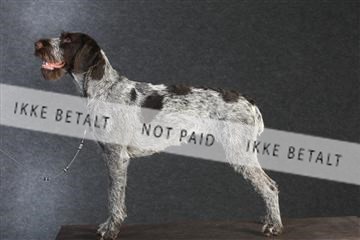 132082_le_ 01_IMG_0513.JPG