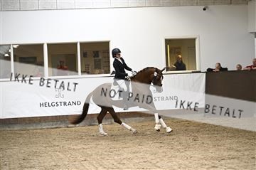 181738_kbb_01_Z099426.JPG