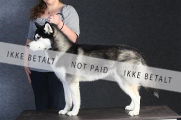 132082_le_ 01_IMG_0094.JPG