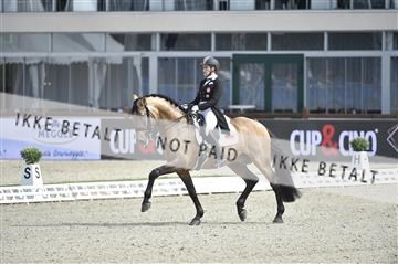 169586_kuo_04__D4S9688.JPG