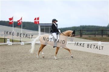 181894_mtp_04_R62_3760.JPG
