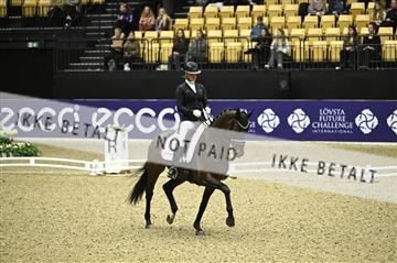 182194_kbb_01_Z096293.JPG
