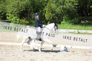 168732_mtp_01_3M5A6631.JPG