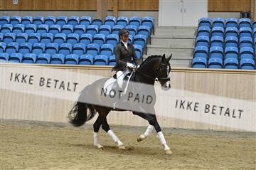 139327_abo_01__AB10471.JPG