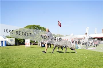 181564_kar_01__62_8241.JPG