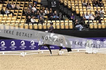 182194_kbb_03_Z090539.JPG
