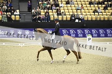 182194_kbb_02_Z098993.JPG