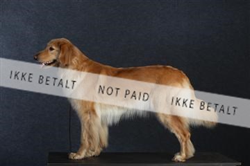 132082_le_ 01_IMG_0670.JPG