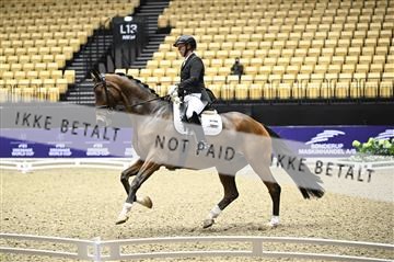 182194_kbb_02_Z097940.JPG