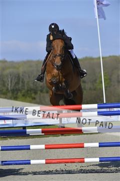 139644_abo_02__AB14493.JPG