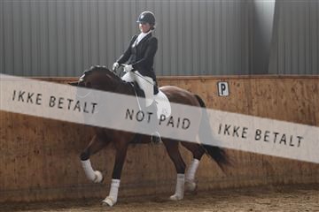 139206_kl_1_8M1Q5305.JPG
