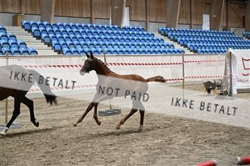 181754_kbb_01_Z093997.JPG