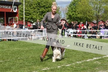 134871_ms_04_IMG_0727.JPG