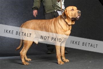 132082_le_ 01_IMG_0142.JPG