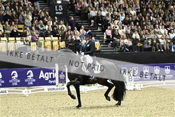 182194_kbb_03_Z091967.JPG