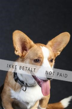 132082_le_ 01_IMG_0239.JPG