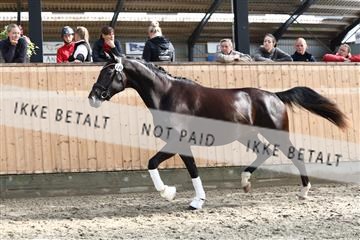181757_avh_01_5745.JPG