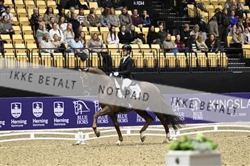 182194_kbb_03_Z090635.JPG