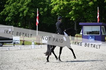 176255_mtp_01_Z09_2283.JPG