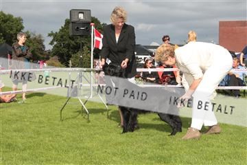 130370_tl_01_IMG_7555.JPG