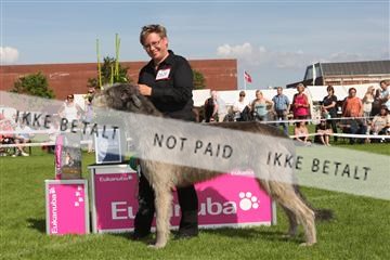 130370_se_03_IMG_7787.JPG