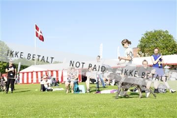 181564_kar_01__62_8232.JPG