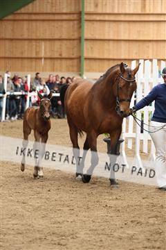 139265_kl_1_8M1Q6072.JPG