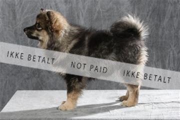 128239_le_ 04_0023.JPG