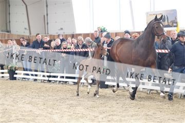 174363_kbb_01_R6II8433.JPG