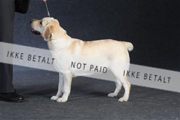 132082_le_ 01_IMG_1428.JPG