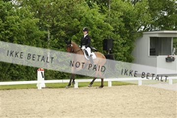 139835_sg_01_IMG_7321.JPG