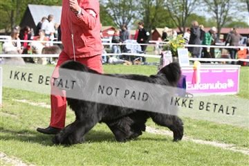 134871_ms_04_IMG_1154.JPG