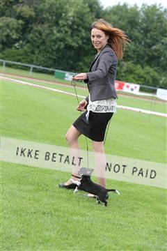 135616_jbr_03_IMG_1579.JPG