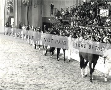 1585-16A 1988 DV Herning.jpg