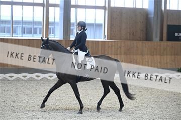 182176_kbb_01_Z092578.JPG