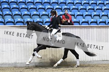 182241_kbb_01_Z093505.JPG