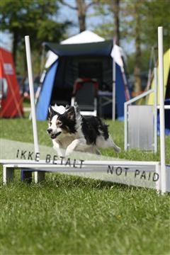 134871_ms_04_IMG_0067.JPG