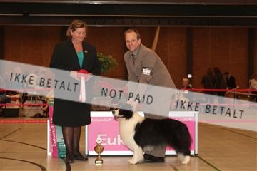 124188 _tl_02_IMG_9312.JPG