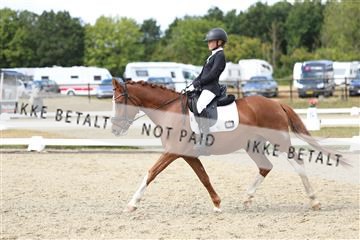 181894_mtp_05_R62_4470.JPG