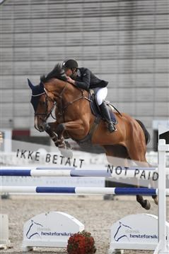 152762_nn _05_IMG_7744.JPG