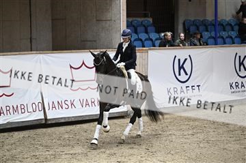 181957_kbb_02_Z099618.JPG