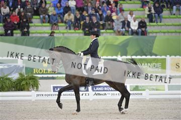 144462_bc_07__BC12016.JPG