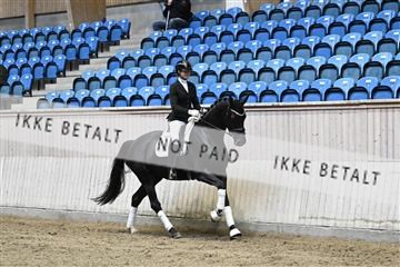 182241_kbb_01_Z094347.JPG