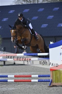 139644_abo_01__AB13765.JPG