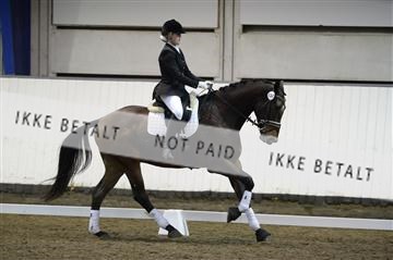 141472_abo_01__AB15498.JPG