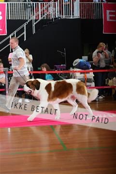 6068_ma_07_IMG_6917.JPG