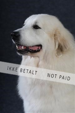 132082_le_ 01_IMG_0829.JPG