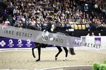 182194_avh_07_3895.JPG