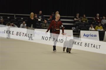173092_bkn_01__D042336.JPG